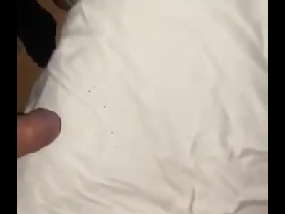 love using her mouth