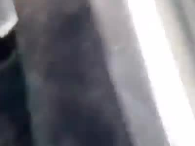 rough backshots in the parking lot