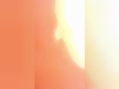 Hardcore Doggystyle POV