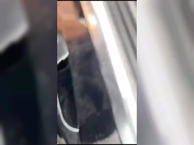 rough backshots in the parking lot