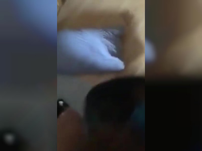 she loves milking his cum