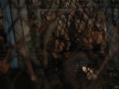 Des esclaves en cage sortis pour une nouvelle séance de bdsm.