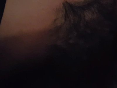Vendre des chattes à son ex en 2014