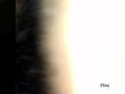 Pinay Tight Teen Pussy Fuck Really Hard et Cum Inside So Fucking Horny OMG !