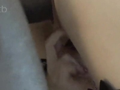 Une femme baise un bbc pendant que son mari regarde et filme.