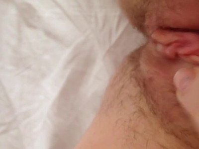 Chatte rose en gros plan