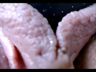 Chatte rose vibrée, jouet baisé de près POV