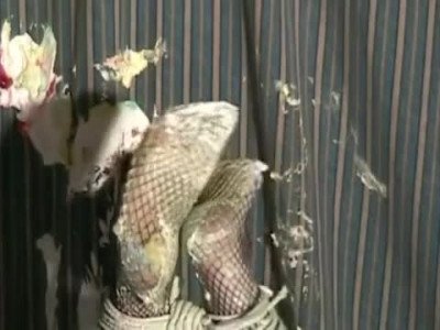 Chick won't shut up