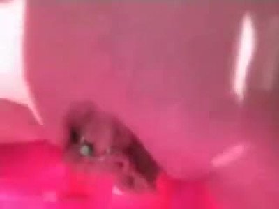 Busty Blonde Playing With An Inflatable Dildo